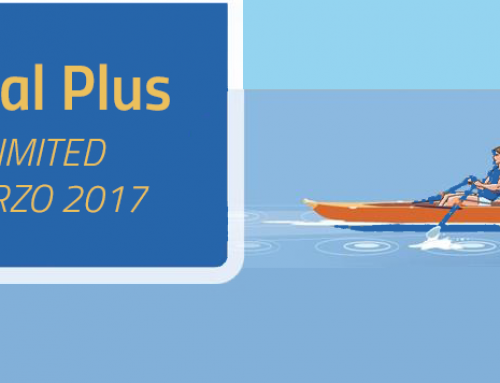 Dual Plus Limited Marzo 2017